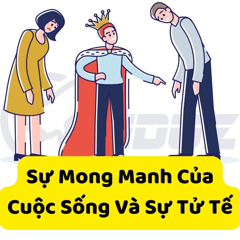 Sự Mong Manh Của Cuộc Sống Và Sự Tử Tế